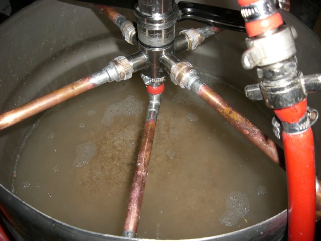 photo40.jpg