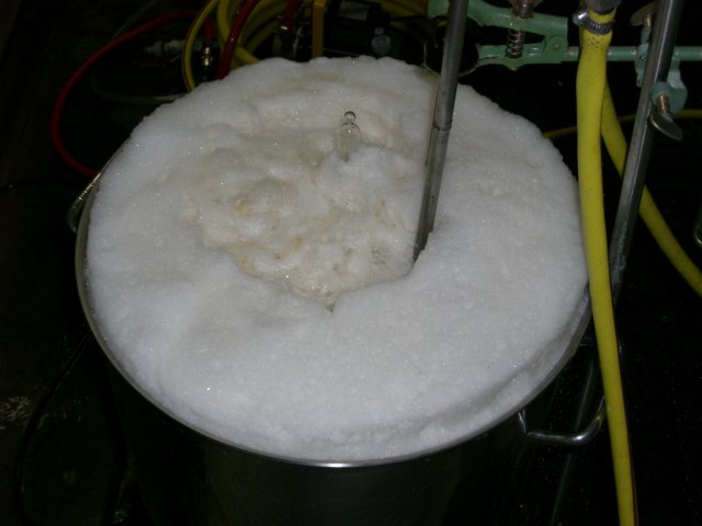 photo57.jpg
