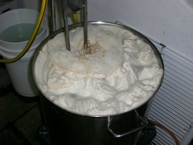 photo60.jpg