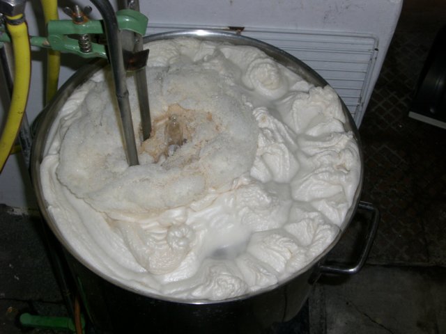 photo61.jpg