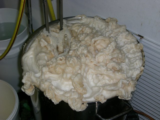 photo64.jpg