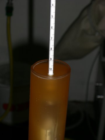 photo66.jpg