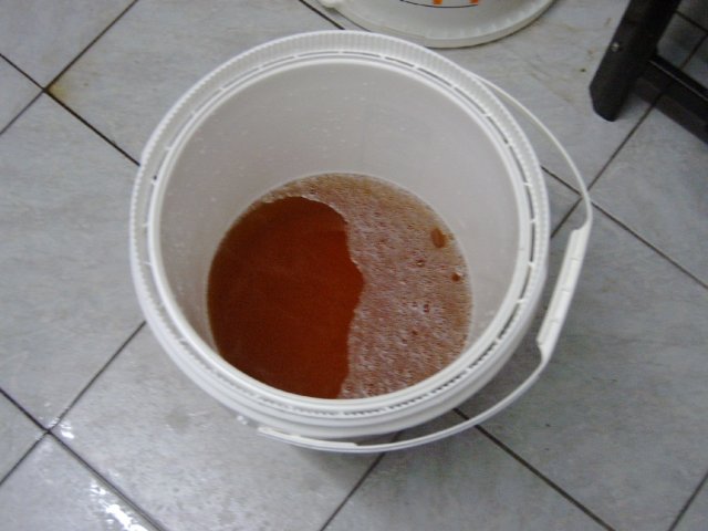 photo65.jpg