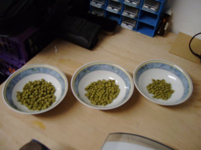 photo67.jpg