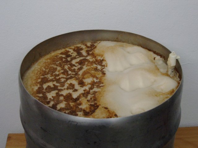 photo91.jpg